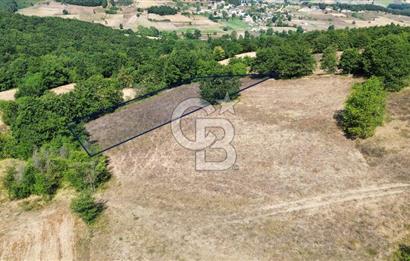 İZMİT BÖĞÜRGEN'DE 2704 m² SATILIK YATIRIMLIK TARLA