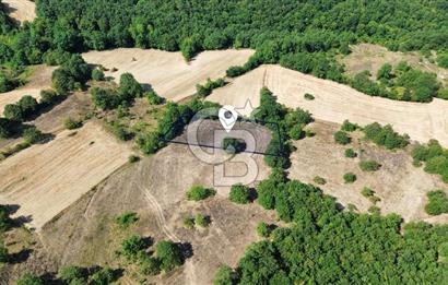 İZMİT BÖĞÜRGEN'DE 2704 m² SATILIK YATIRIMLIK TARLA