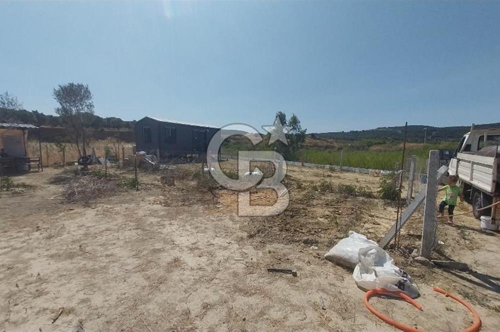 Torbalı Çapak köyünde 2 Parsel Satılık Bahçe