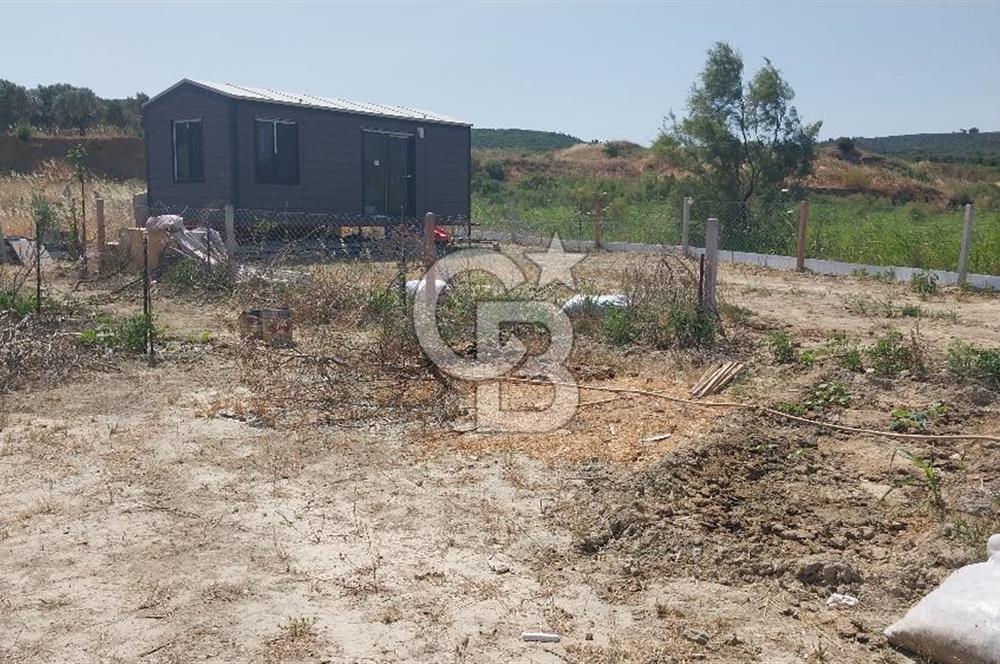 Torbalı Çapak köyünde 2 Parsel Satılık Bahçe