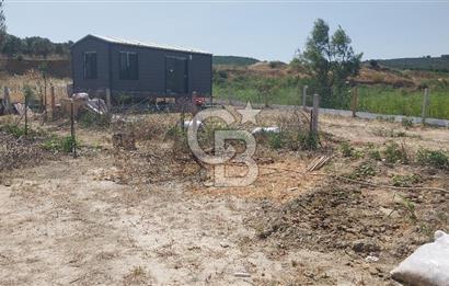 Torbalı Çapak köyünde 2 Parsel Satılık Bahçe