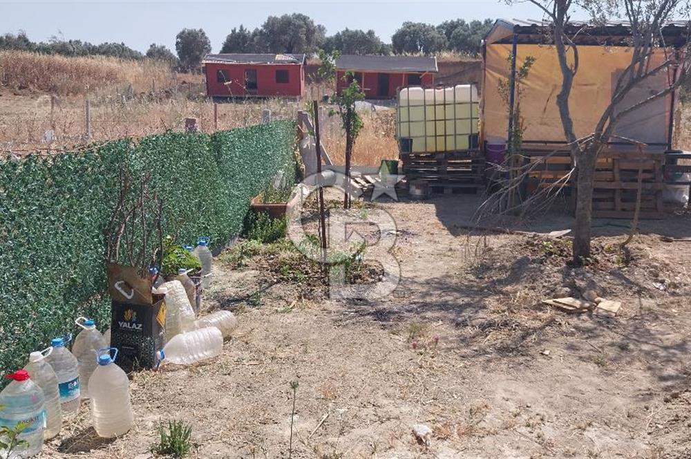 Torbalı Çapak köyünde 2 Parsel Satılık Bahçe