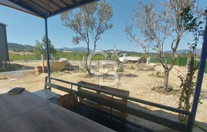 Torbalı Çapak köyünde 2 Parsel Satılık Bahçe