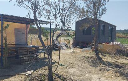 Torbalı Çapak köyünde 2 Parsel Satılık Bahçe