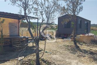 Torbalı Çapak köyünde 2 Parsel Satılık Bahçe