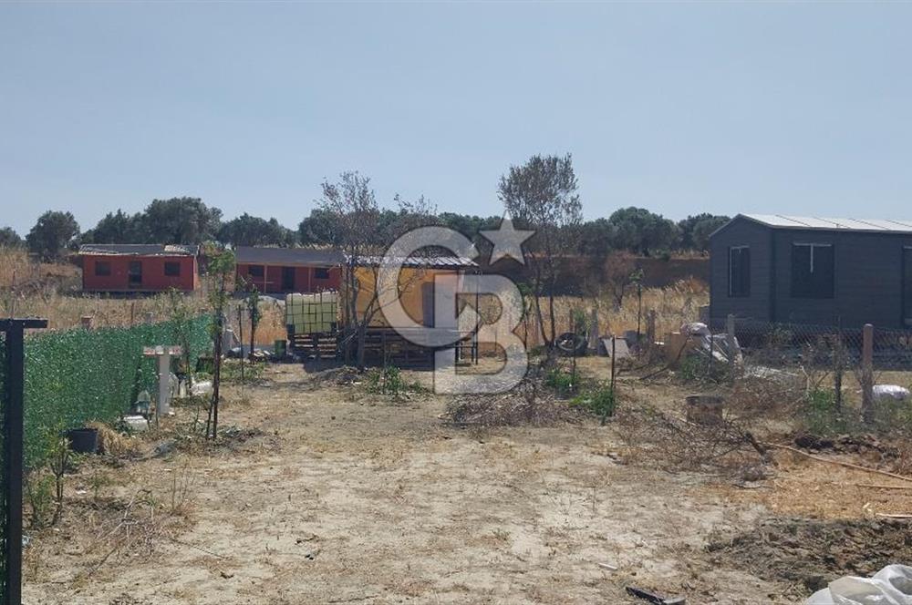 Torbalı Çapak köyünde 2 Parsel Satılık Bahçe