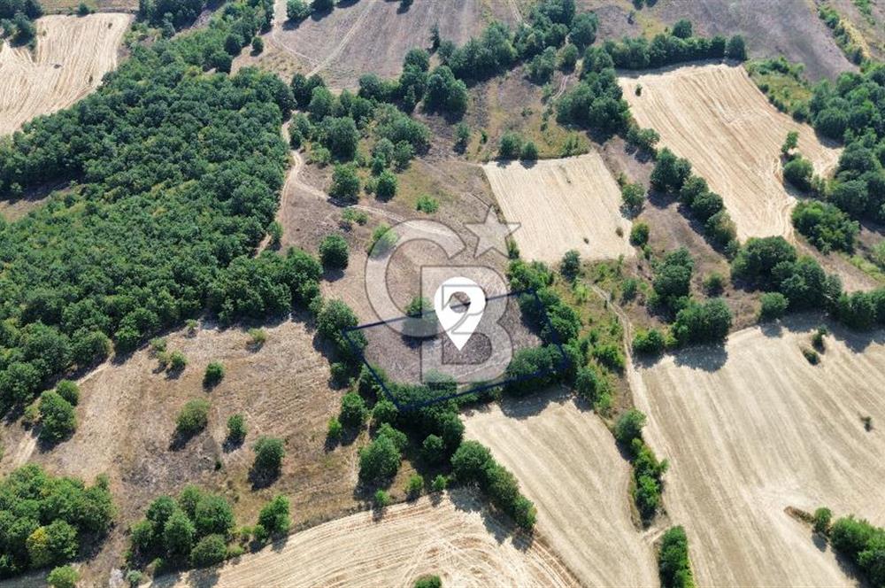 İZMİT BÖĞÜRGEN'DE 2704 m² SATILIK YATIRIMLIK TARLA