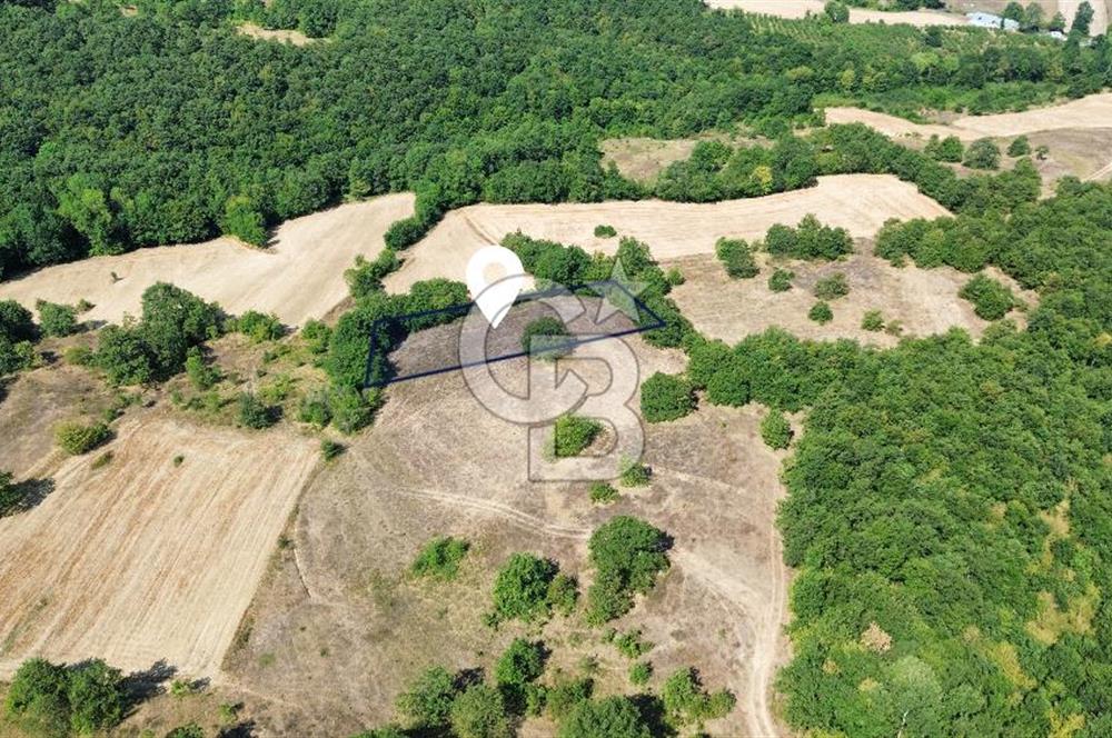 İZMİT BÖĞÜRGEN'DE 2704 m² SATILIK YATIRIMLIK TARLA