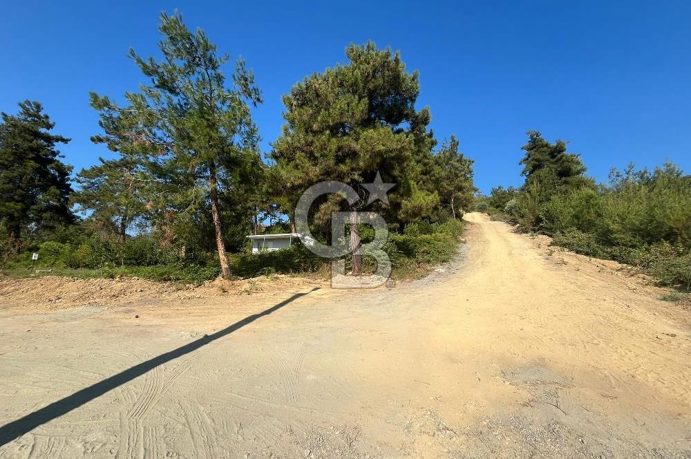 ULAŞLI'DA DENİZ MANZARALI İMARLI ARSA