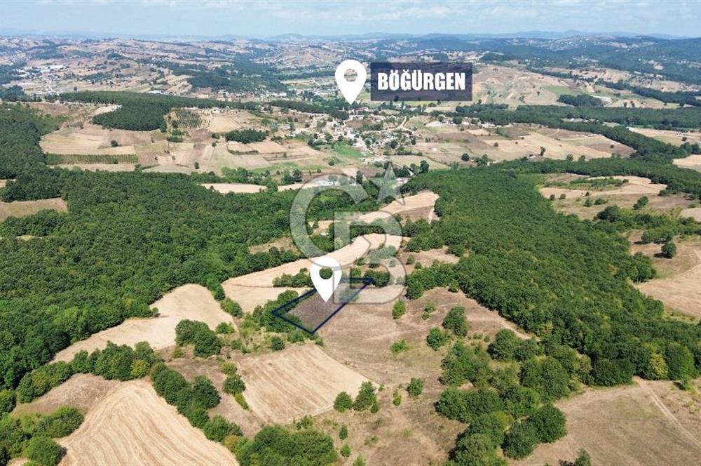 İZMİT BÖĞÜRGEN'DE 2704 m² SATILIK YATIRIMLIK TARLA