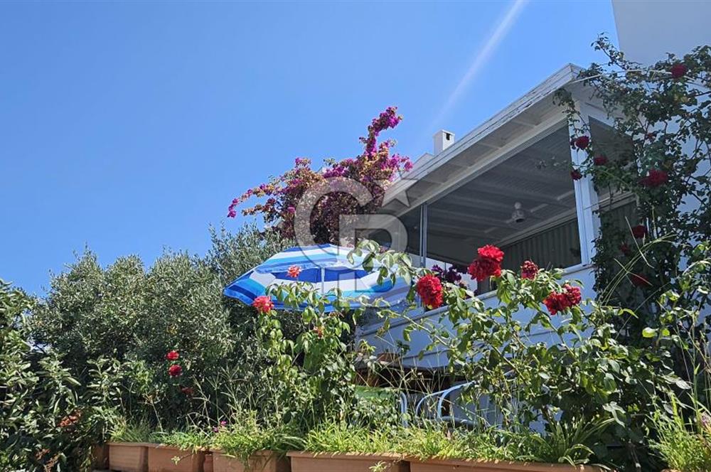 Bodrum Gümüşlük Koyunbaba 'da Satılık 3+1Deniz Manzaralı