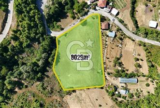 GÖLCÜK YENİ FERHADİYE'DE İMARA YAKIN 8029 m2 BAHÇE