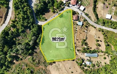 GÖLCÜK YENİ FERHADİYE'DE İMARA YAKIN 8029 m2 BAHÇE