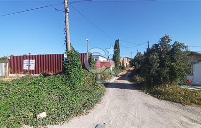 URLA ALTINTAŞTA SATILIK TURİSTİK TESİS KOOPERATİFİ HİSSESİ