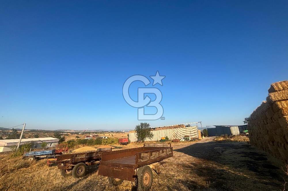 ÇAN BAHADIRLI KÖYÜNDE KÖY İÇİ İMARLI TARLA