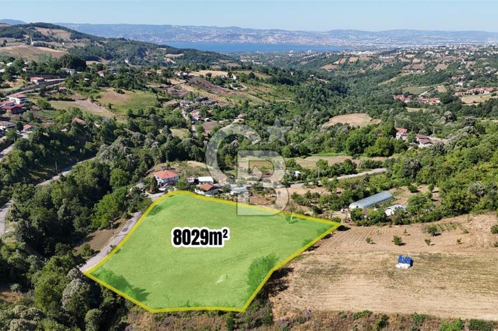 GÖLCÜK YENİ FERHADİYE'DE İMARA YAKIN 8029 m2 BAHÇE