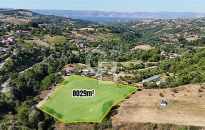 GÖLCÜK YENİ FERHADİYE'DE İMARA YAKIN 8029 m2 BAHÇE