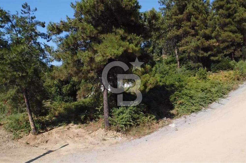 ULAŞLI'DA DENİZ MANZARALI İMARLI ARSA