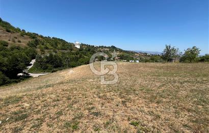 GÖLCÜK YENİ FERHADİYE'DE İMARA YAKIN 8029 m2 BAHÇE