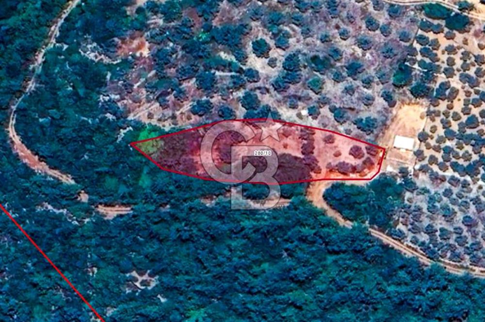 MUĞLA MENTEŞE KUYUCAKTA YOLU OLAN EMSALSİZ DENİZ MANZARALI TARLA