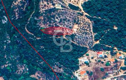 MUĞLA MENTEŞE KUYUCAKTA YOLU OLAN EMSALSİZ DENİZ MANZARALI TARLA
