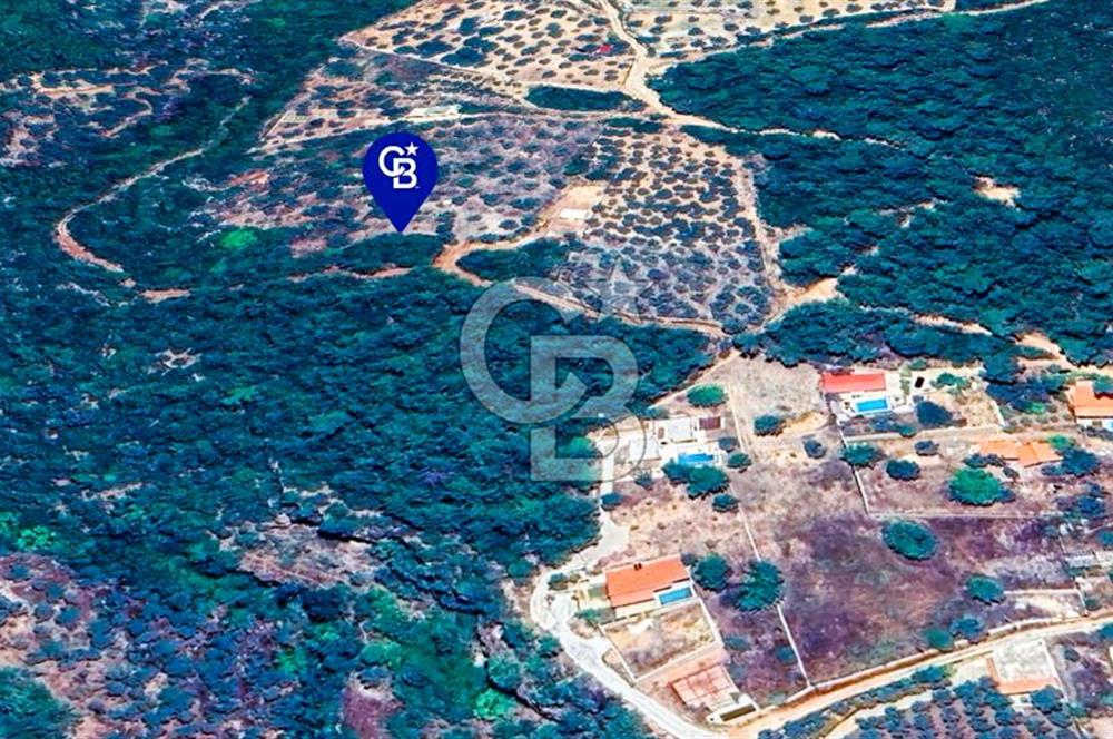 MUĞLA MENTEŞE KUYUCAKTA YOLU OLAN EMSALSİZ DENİZ MANZARALI TARLA