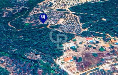 MUĞLA MENTEŞE KUYUCAKTA YOLU OLAN EMSALSİZ DENİZ MANZARALI TARLA