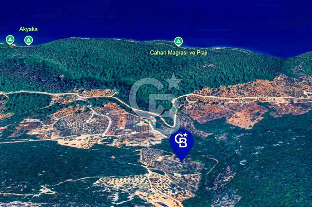 MUĞLA MENTEŞE KUYUCAKTA YOLU OLAN EMSALSİZ DENİZ MANZARALI TARLA