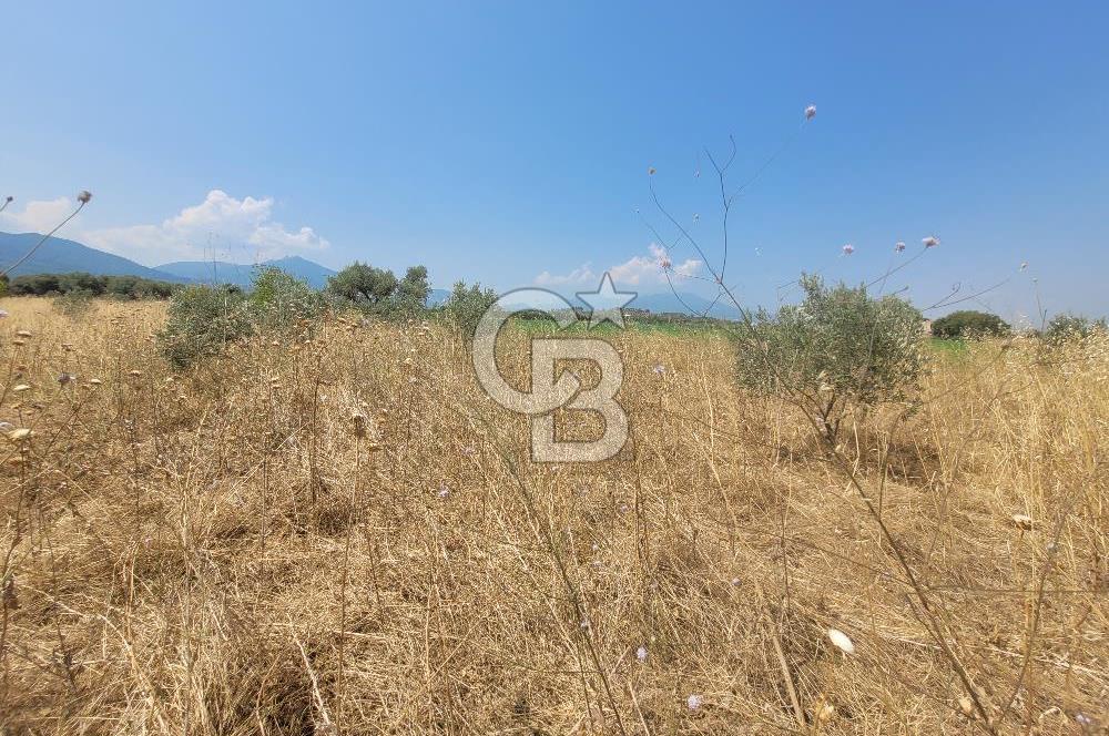 İzmir Kemalpaşa'da Satılık Bağ/Bahçe