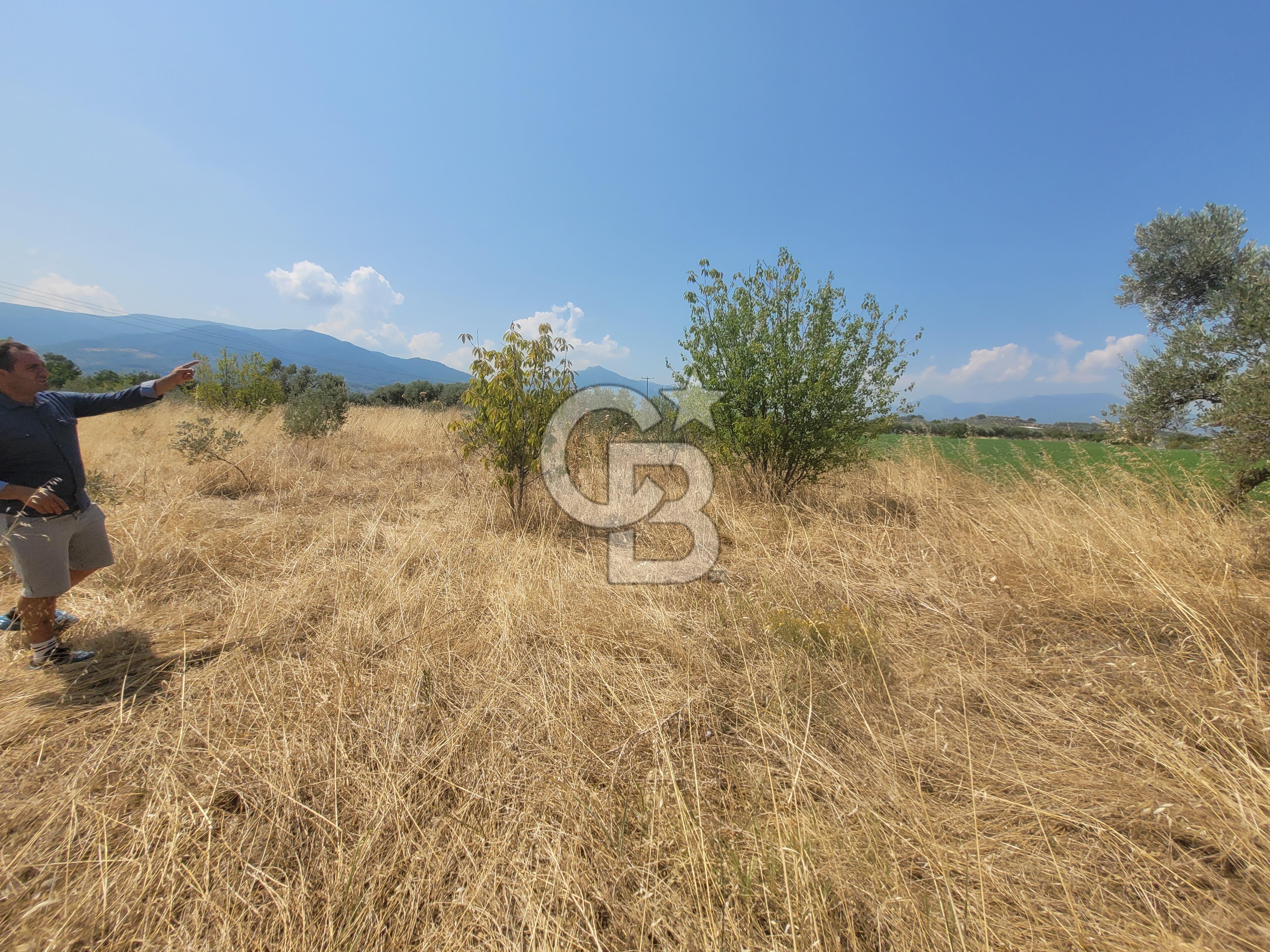 İzmir Kemalpaşa'da Satılık Bağ/Bahçe
