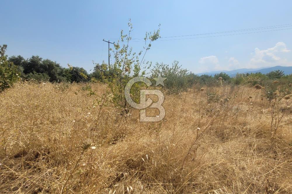 İzmir Kemalpaşa'da Satılık Bağ/Bahçe