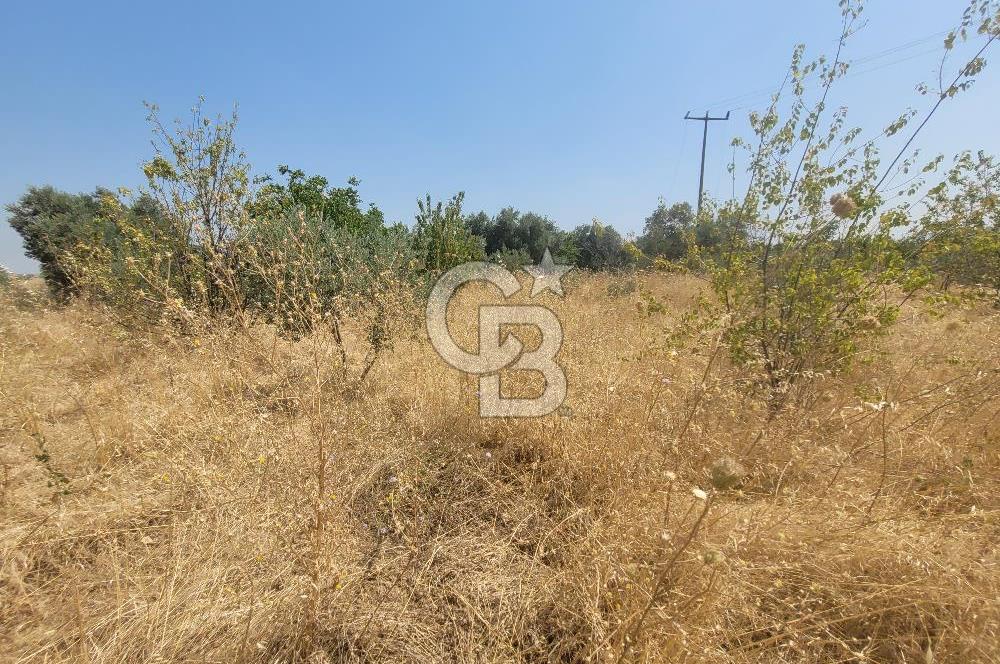 İzmir Kemalpaşa'da Satılık Bağ/Bahçe