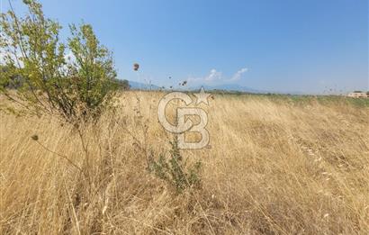 İzmir Kemalpaşa'da Satılık Bağ/Bahçe