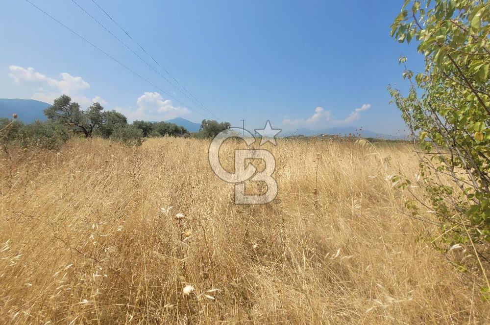 İzmir Kemalpaşa'da Satılık Bağ/Bahçe