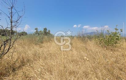 İzmir Kemalpaşa'da Satılık Bağ/Bahçe