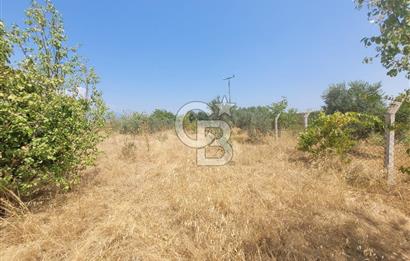 İzmir Kemalpaşa'da Satılık Bağ/Bahçe