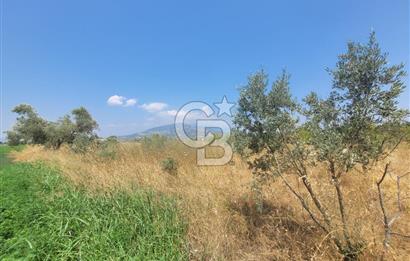 İzmir Kemalpaşa'da Satılık Bağ/Bahçe
