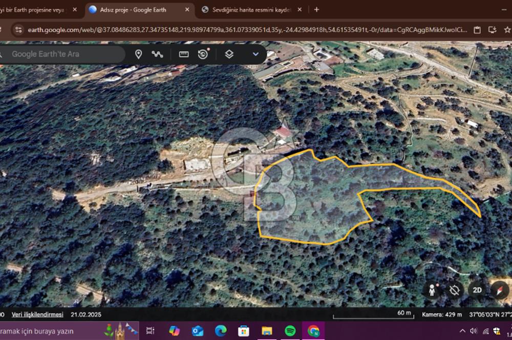 BODRUM YALIKAVAK DAĞBELEN SATILIK 7.610 M2 ZEYTİNLİ TARLA