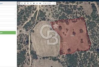ÇANAKKALE LAPSEKİ HACIGELEN KÖYÜNDE 5552 M² SATILIK TARLA
