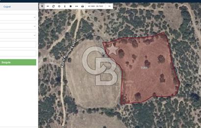 ÇANAKKALE LAPSEKİ HACIGELEN KÖYÜNDE 5552 M² SATILIK TARLA
