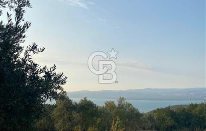 BURSA İZNİK DERBENT'TE YOLA CEPHELİ GÖL MANZARALI BAĞ