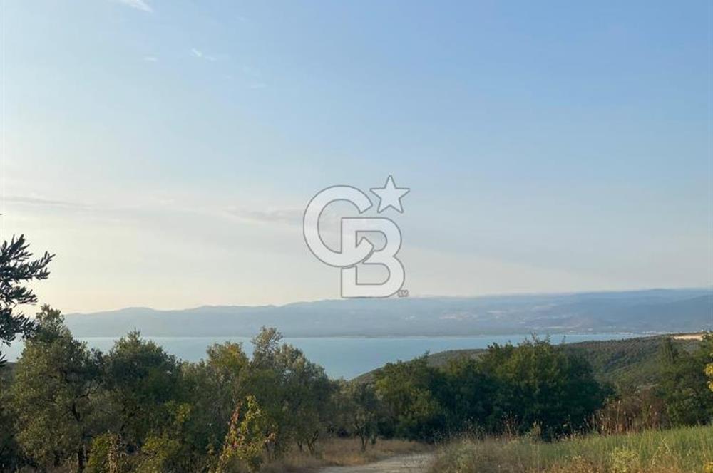 BURSA İZNİK DERBENT'TE YOLA CEPHELİ GÖL MANZARALI BAĞ