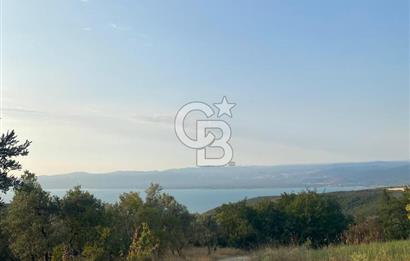 BURSA İZNİK DERBENT'TE YOLA CEPHELİ GÖL MANZARALI BAĞ