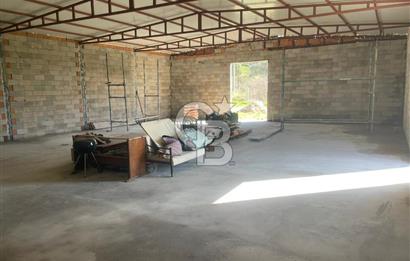 Güzelbahçe'de Ana Yola Yakın 5 Dönüm Kiralık Tarla