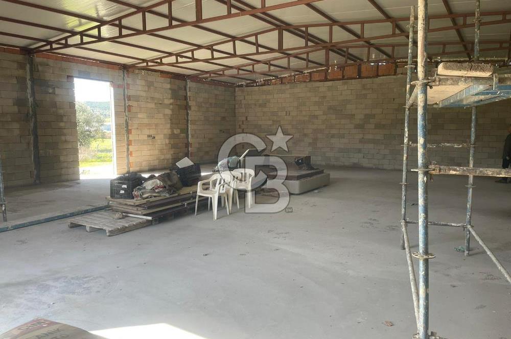 Güzelbahçe'de Ana Yola Yakın 5 Dönüm Kiralık Tarla