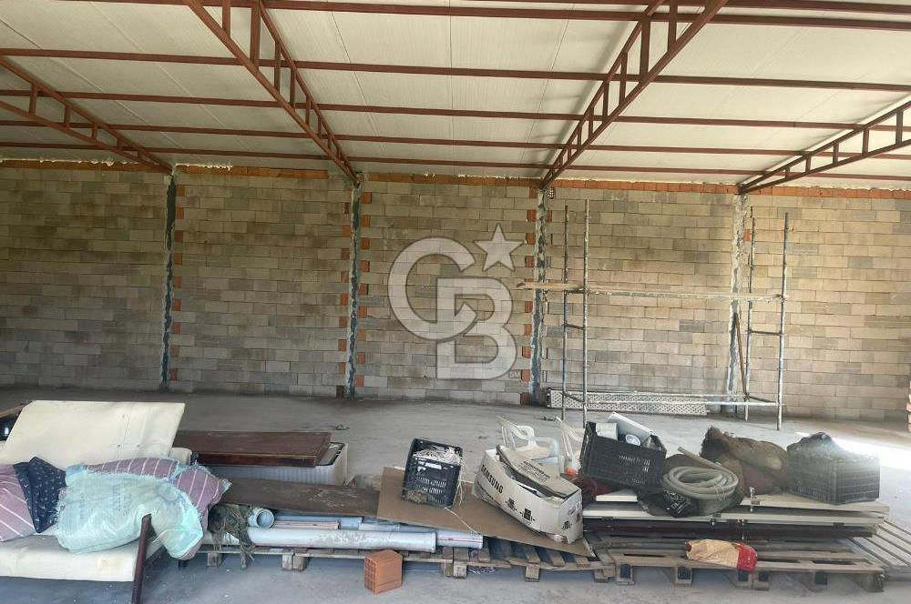 Güzelbahçe'de Ana Yola Yakın 5 Dönüm Kiralık Tarla
