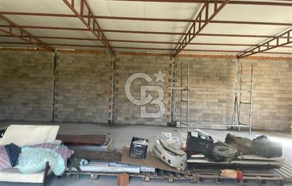 Güzelbahçe'de Ana Yola Yakın 5 Dönüm Kiralık Tarla