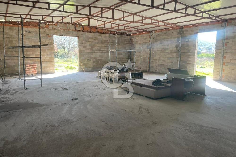 Güzelbahçe'de Ana Yola Yakın 5 Dönüm Kiralık Tarla