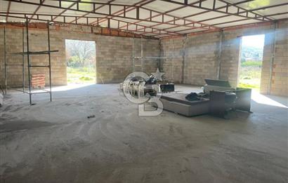 Güzelbahçe'de Ana Yola Yakın 5 Dönüm Kiralık Tarla