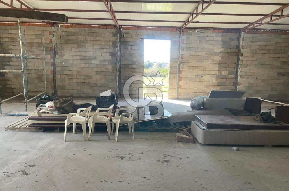 Güzelbahçe'de Ana Yola Yakın 5 Dönüm Kiralık Tarla